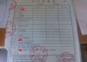 《同户口异地同居，女生们的选择与挑战：法律视角下的新解读》