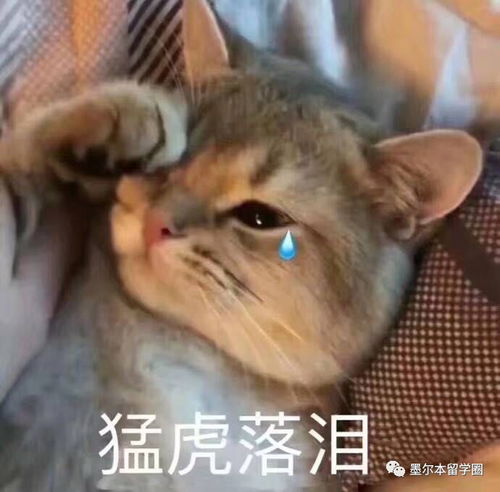 分手后的心灵疗愈：如何走出情感低谷？