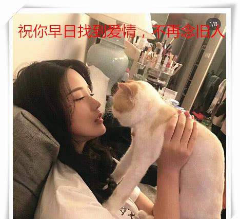 亲密背后的裂痕：情侣为何越近越易分开？