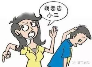 《离婚纠纷中，小三的非法所得能否追回？揭秘离婚财产分配的法律边界》