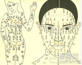 眉间红痣：解码女性命运的神秘符号？