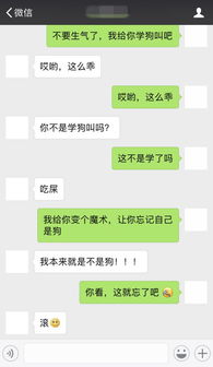 《解锁女生对话：高效聊天套路的秘诀解析》