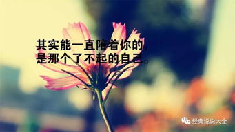 伤感经典分手个性签名：你的分手故事，如何用文字铭记？