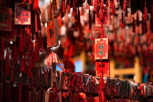 揭秘命运之谜：命中有几段婚姻？权威测试带你探寻爱情轨迹