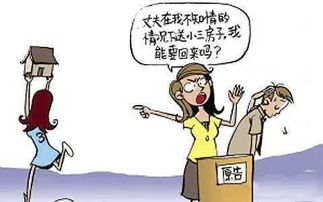 离婚后，“小三”追着要房子，合法吗？