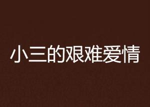 小三看透感情：揭秘婚姻裂痕的隐秘密码