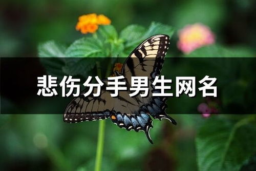 伤感网名背后的分手故事：网络时代的情感裂痕