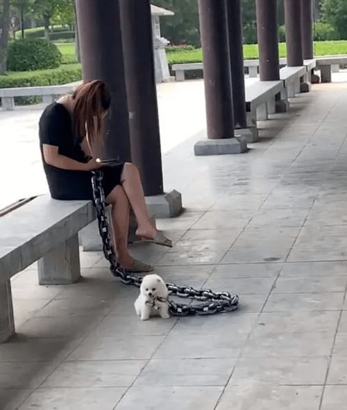 《情感漩涡：当发现女朋友劈腿，如何面对与自我救赎？》