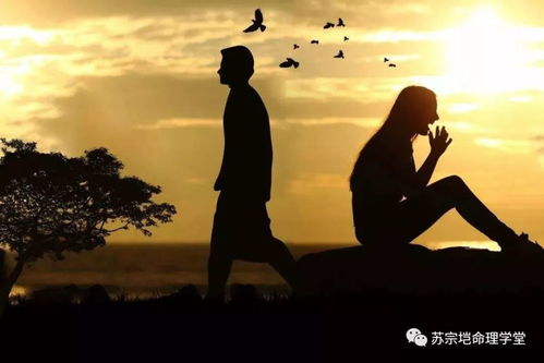感情中，另一半过度理性？揭秘理性背后的隐秘情绪
